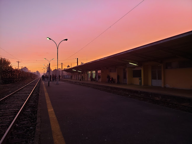 Comentarios y opiniones de Estacion Trenes Lautaro
