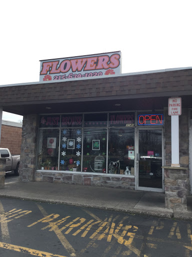 Just Because...Flowers, 3540 Street Rd, Bensalem, PA 19020, USA, 