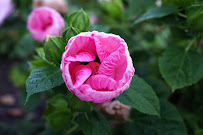 David Martin Design - Photo 3 - Car repair in Bloomington, IN, Bloomington