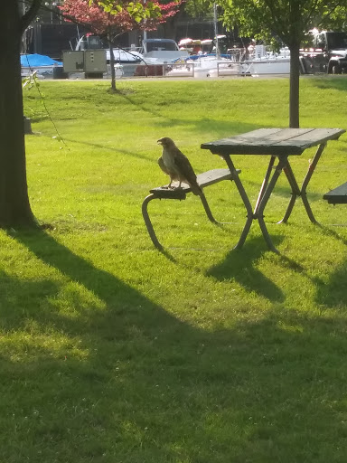 Park «Lake Front Park», reviews and photos, 23000 Jefferson Ave, St Clair Shores, MI 48080, USA