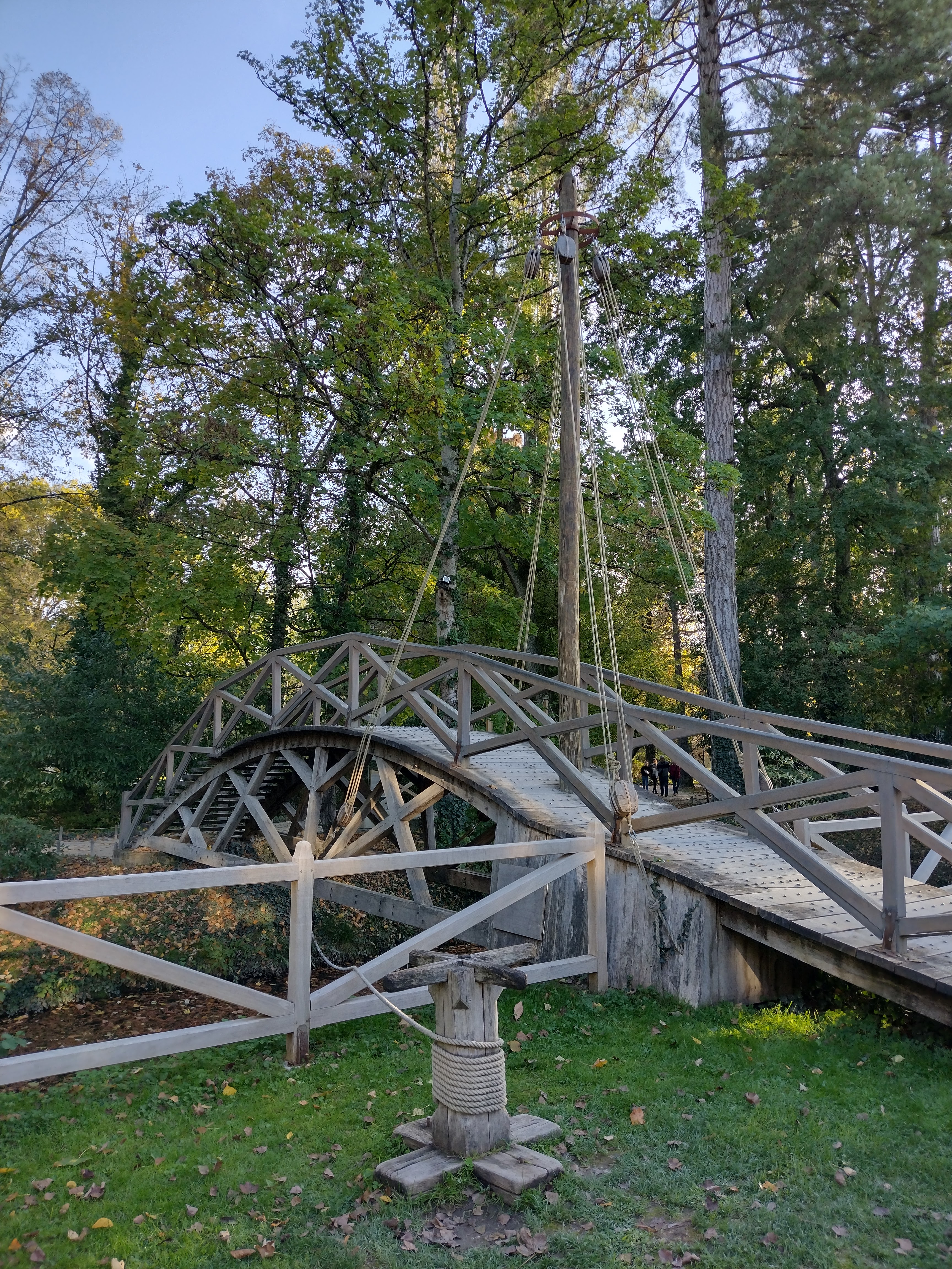 Photo n° 2 de l'avis de Gauthier.E fait le 01/11/2022 à 15:20