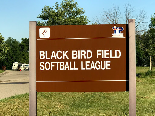 Black Bird Field Softball League