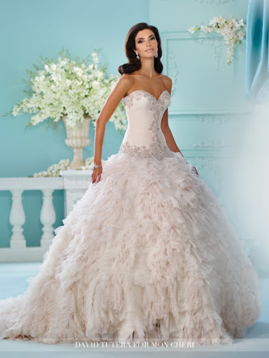 Bridal Shop «Divas Closet Bridal Boutique», reviews and photos, 1034 Merriam Ln, Kansas City, KS 66103, USA