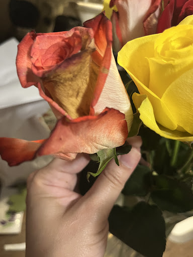 Florist «1-800-FlowersDallas», reviews and photos, 3380 Belt Line Rd, Dallas, TX 75234, USA