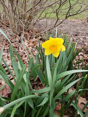 Caperton Trail Park - photo 22