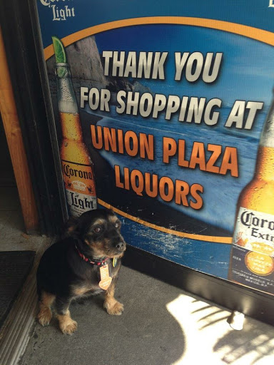 Liquor Store «Union Plaza Liquors», reviews and photos, 1616 Union Ave, Hazlet, NJ 07730, USA