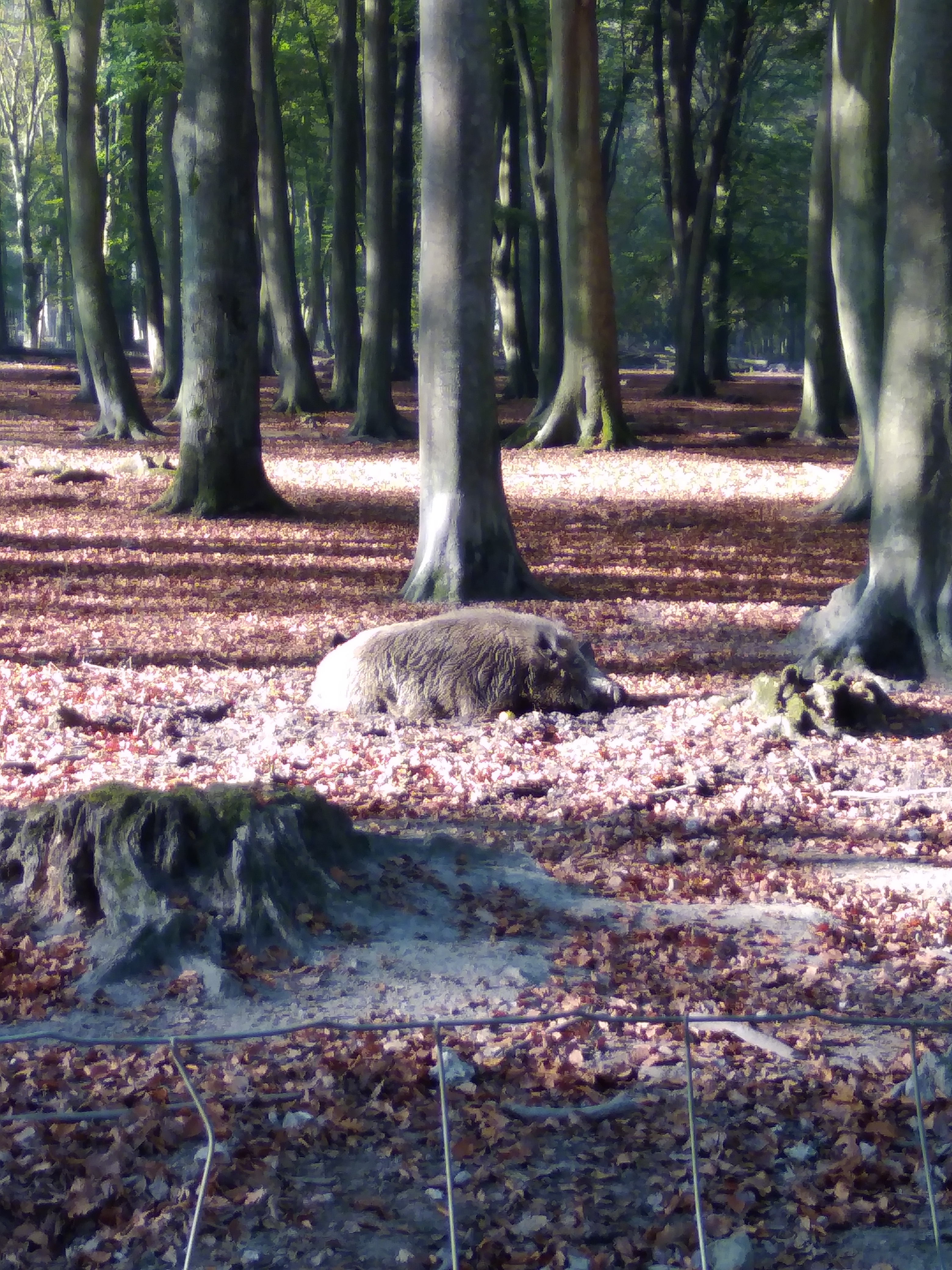 Photo n° 1 de l'avis de Touriste. fait le 24/10/2018 à 21:13