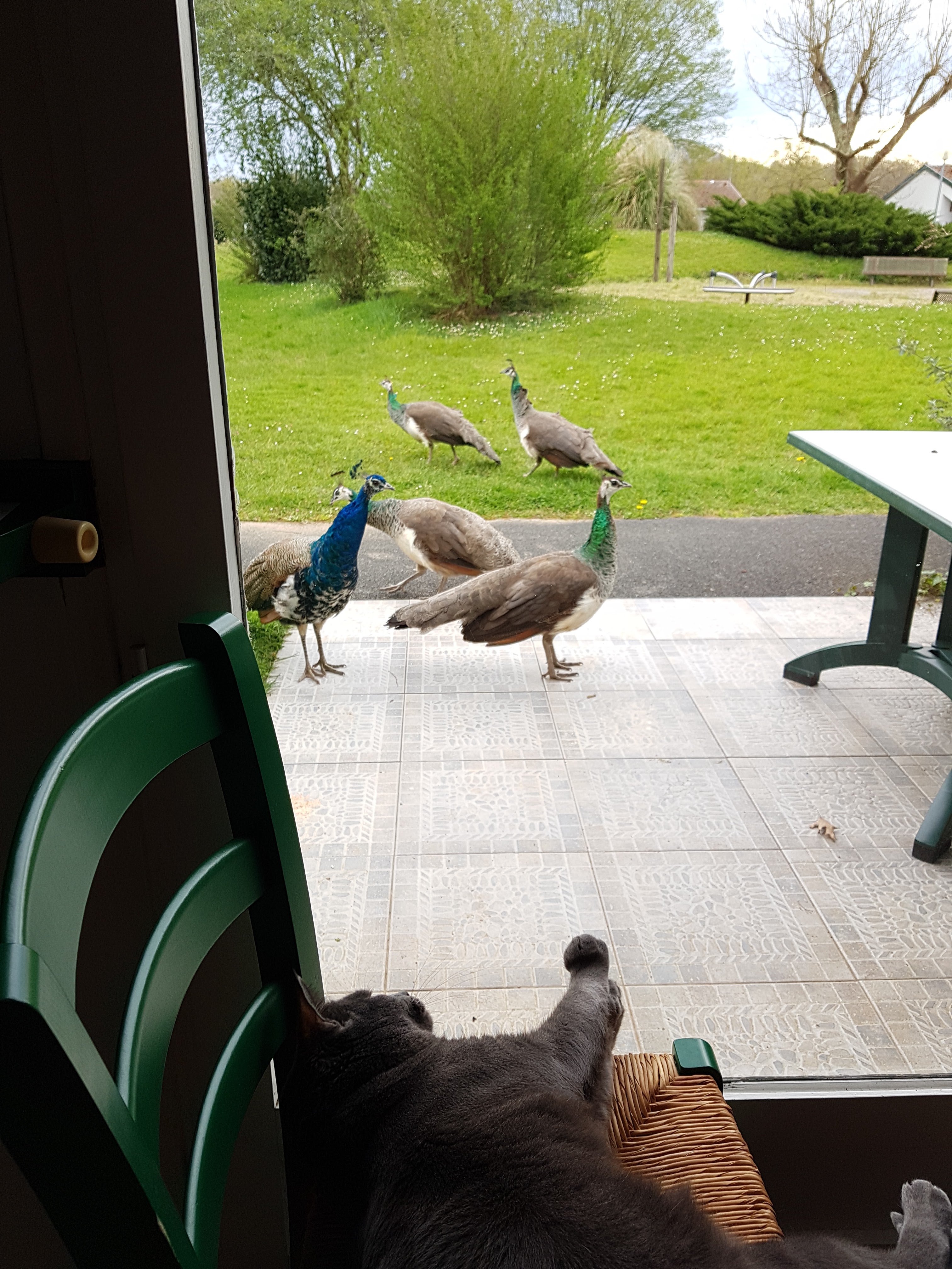 Photo n° 1 de l'avis de Marine.a fait le 09/06/2018 à 09:12