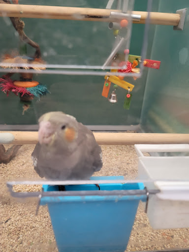 Pet Supply Store «Feeders Supply», reviews and photos, 1610 Ring Rd, Elizabethtown, KY 42701, USA