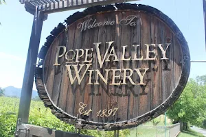 Pope Valley Winery image