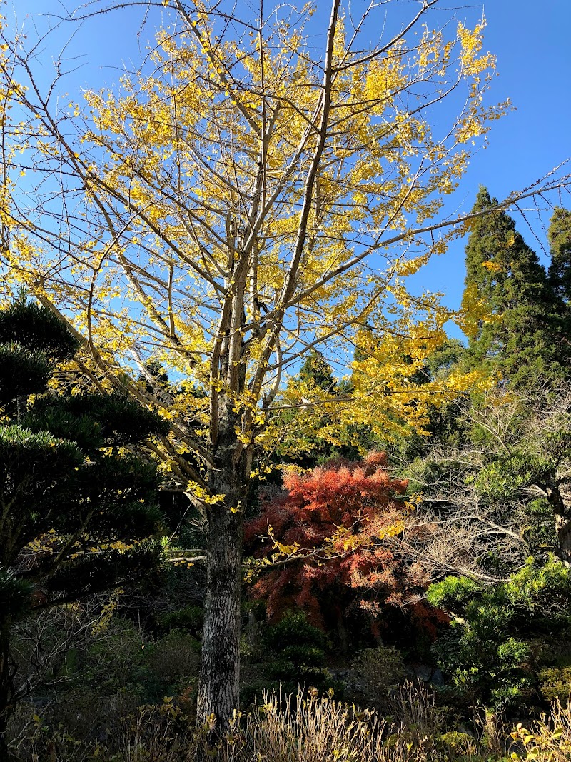 紫陽花園 鹿児島県日置市吹上町田尻 ガソリンスタンド グルコミ