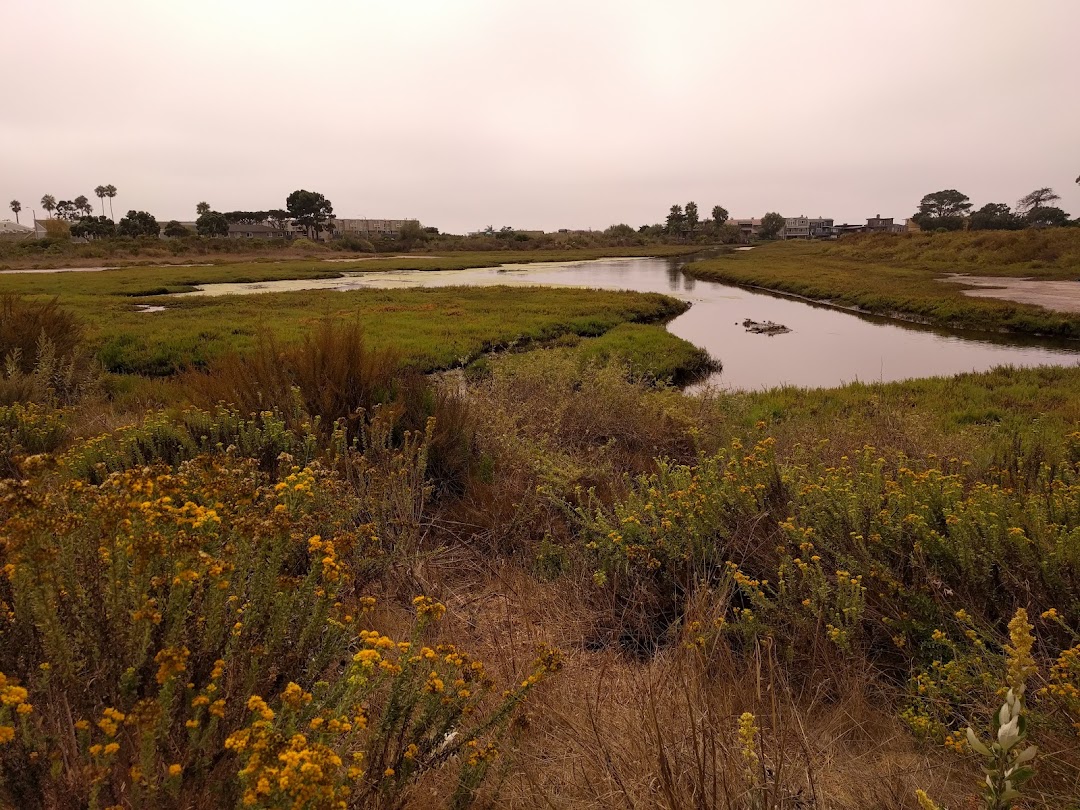 Carpinteria Salt Marsh Nature Park