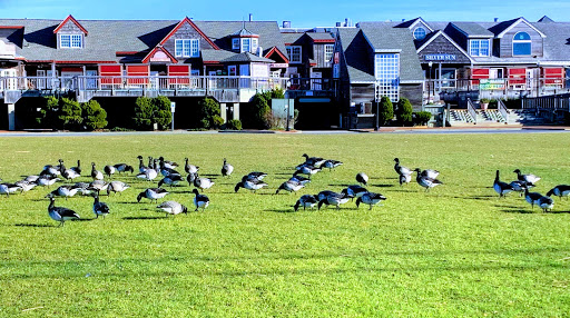 Water Park «Thundering Surf Waterpark», reviews and photos, 300 Taylor Ave, Beach Haven, NJ 08008, USA