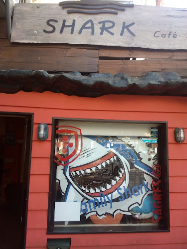Shark - Bar