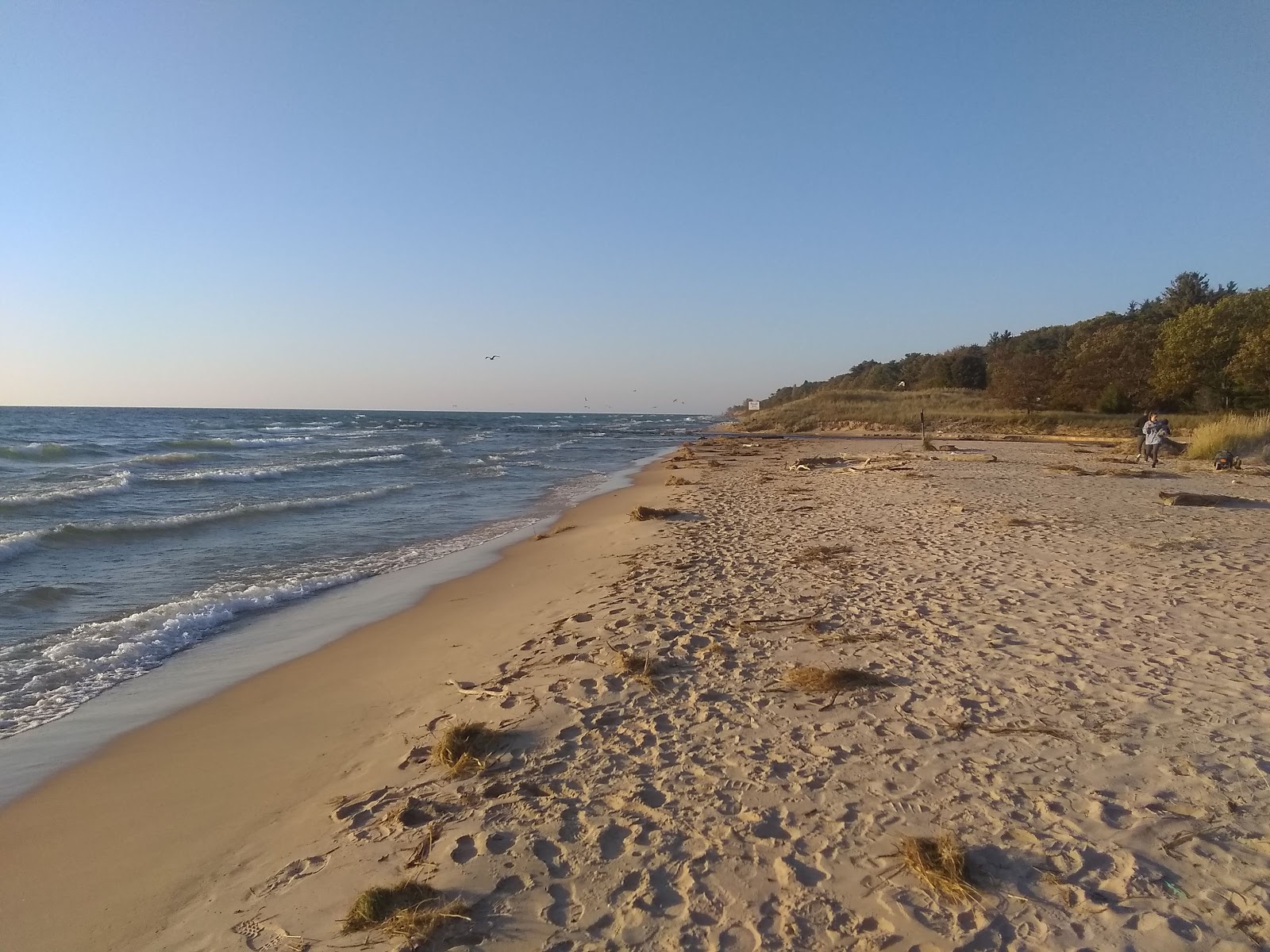 Fotografie cu Benona Township Beach - locul popular printre cunoscătorii de relaxare