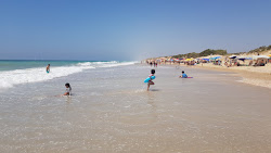 Hofit beach的照片 野外区域