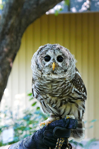 Nature Preserve «Westwood Hills Nature Center», reviews and photos, 8300 W Franklin Ave, St Louis Park, MN 55426, USA