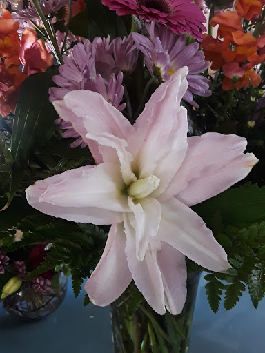 Florist «Arthur Pfeil Flowers», reviews and photos, 803 W Ashby Pl, San Antonio, TX 78212, USA
