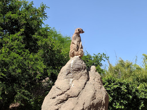 Zoo «Reid Park Zoo», reviews and photos, 3400 Zoo Court, Tucson, AZ 85716, USA