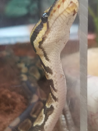 Pet Supply Store «Petco Animal Supplies», reviews and photos, 3380 124th Ave NW, Coon Rapids, MN 55433, USA