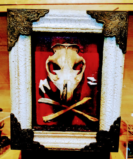 Explore s tattoo ideas, creative tattoo ideas in Muncie, available at Obscura Tattoo shop and Oddity Collective