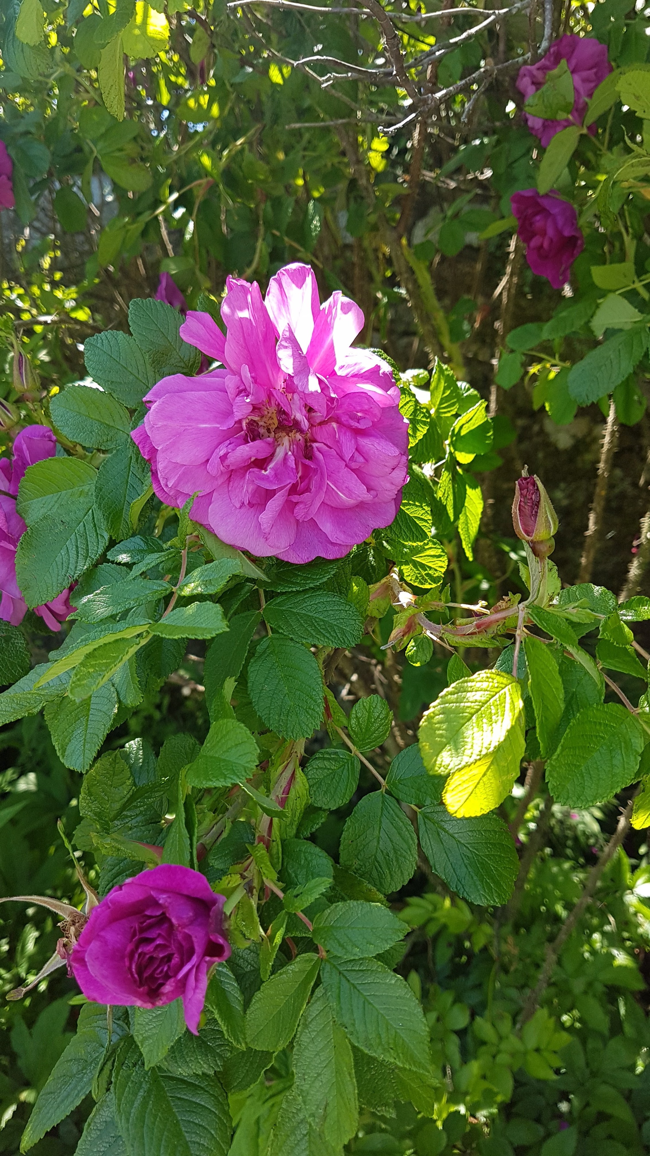 Photo n° 23 de l'avis de Daniel.r fait le 29/05/2020 à 14:41