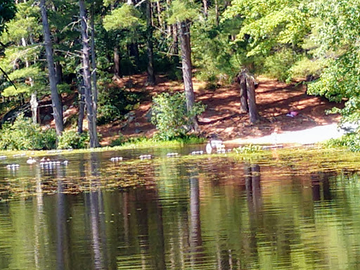 Campground «Lorraine Park Campground», reviews and photos, 133 Jenkins Rd, Andover, MA 01810, USA