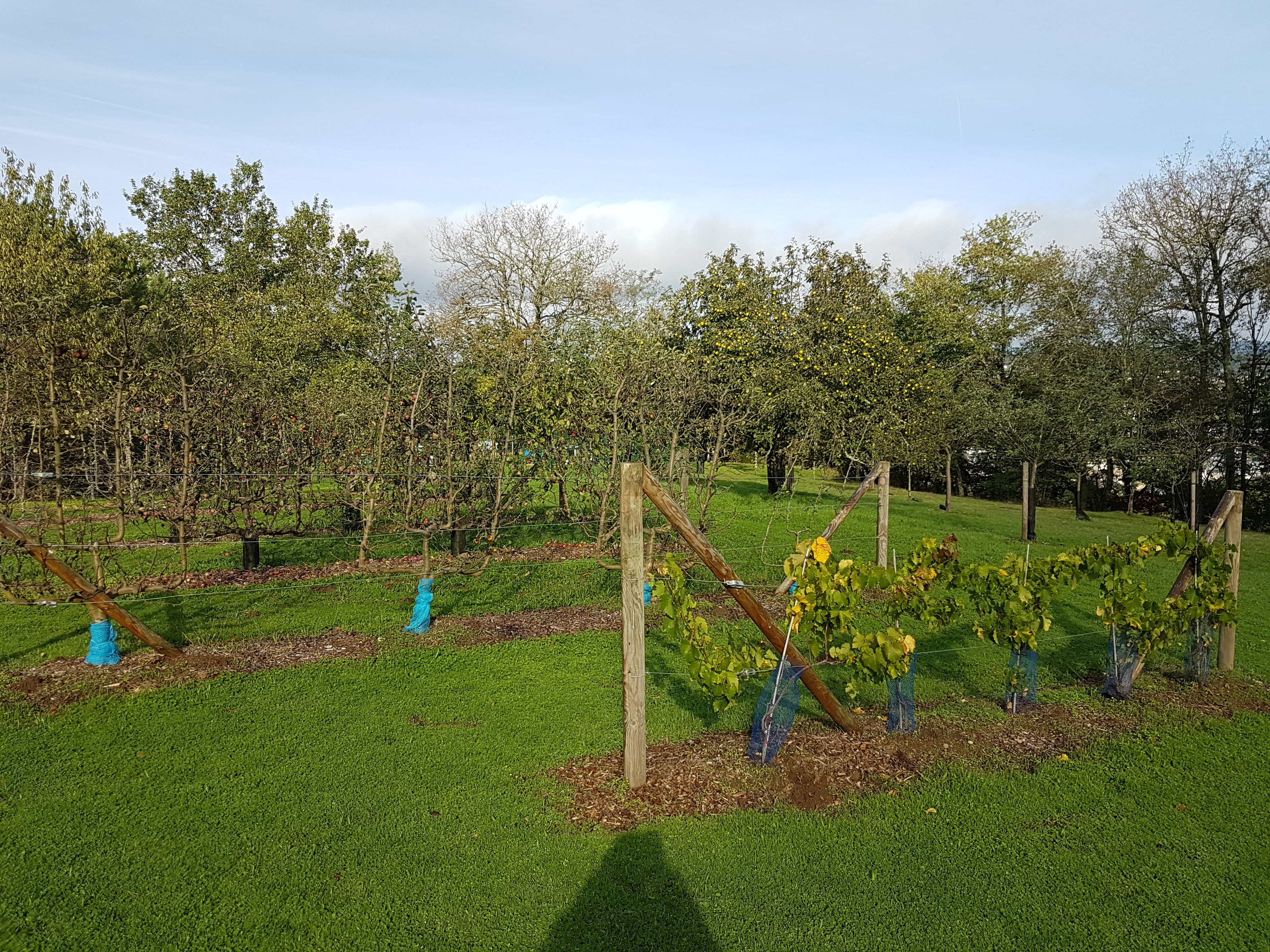 Photo n° 3 de l'avis de Yoann.u fait le 25/10/2019 à 10:32