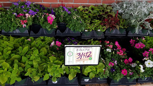 Supermarket «Roche Bros. Natick», reviews and photos, 150 W Central St, Natick, MA 01760, USA