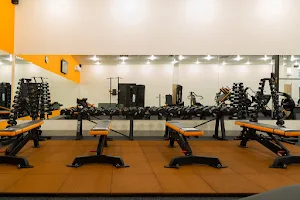 Pulse Gym image