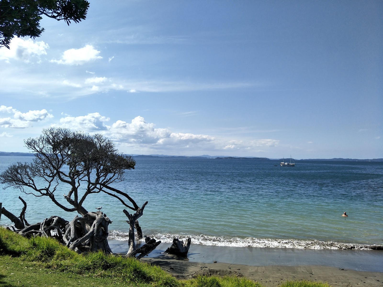 Shakespeare Beach的照片 - 受到放松专家欢迎的热门地点