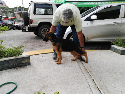 Veterinario barato Santo Domingo