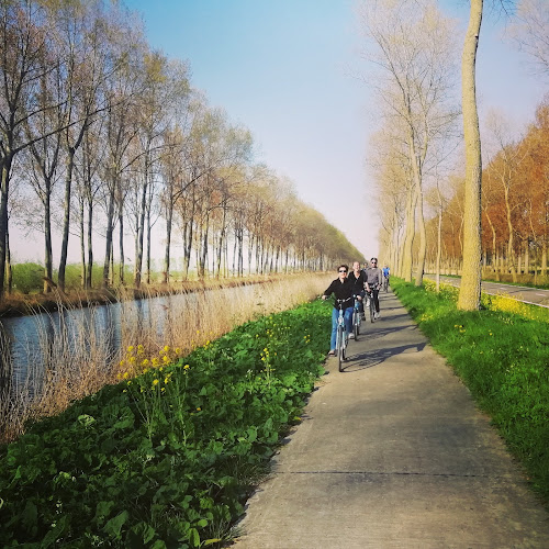Beoordelingen van Quasimundo Bike Tours Brugge in Brugge - Reisbureau