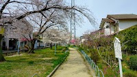 さくら公園