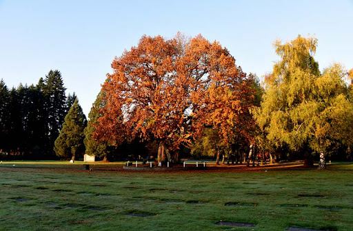 Funeral Home «Mills & Mills Funeral Home», reviews and photos, 5725 Littlerock Rd SW, Tumwater, WA 98512, USA