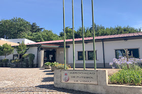 Associação de Futebol de Viseu