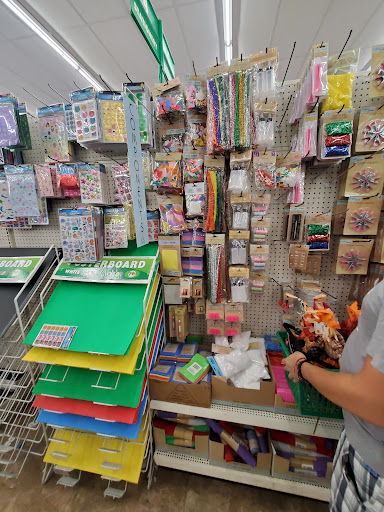 Dollar Store «Dollar Tree», reviews and photos, 8727 S Ridgeland Ave, Oak Lawn, IL 60453, USA