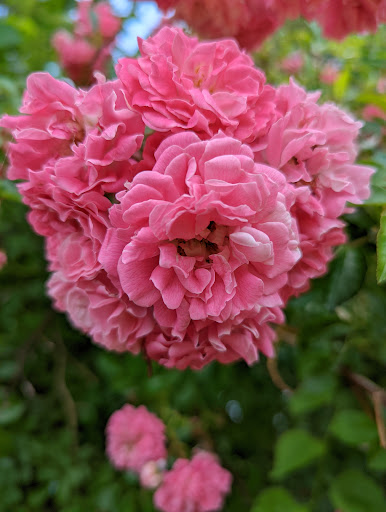 Park «Goodwill Park», reviews and photos, 416 Green St, Holliston, MA 02540, USA