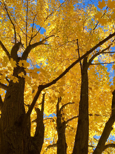 Education «Omega Institute for Holistic Studies», reviews and photos, 150 Lake Dr, Rhinebeck, NY 12572, USA