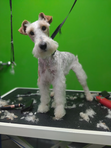 Veterinario Carrizo en Carrizo de la Ribera