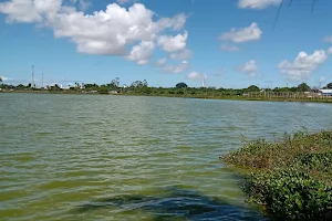 Parque Três Lagoas image