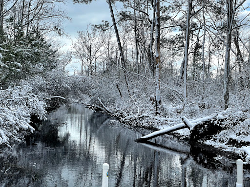 Bicycle Rental Service «Ocean Rentals Ltd.», reviews and photos, 577 Sandbridge Rd, Virginia Beach, VA 23456, USA