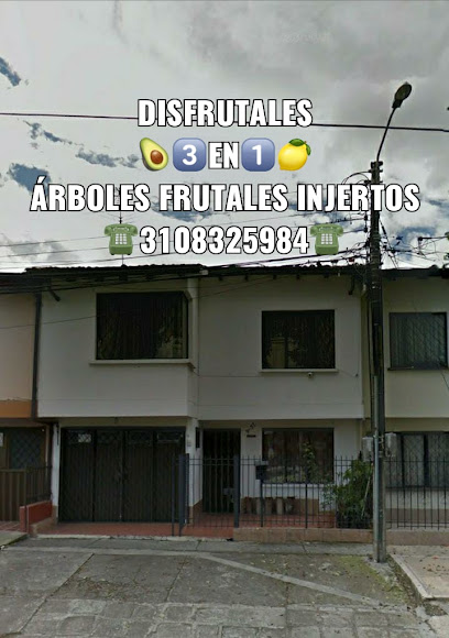 DISFRUTALES Venta de Árboles Frutales