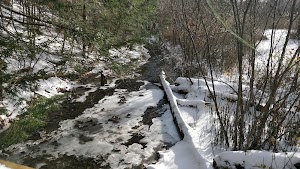 Sucker Brook Hollow Trail - photo 8
