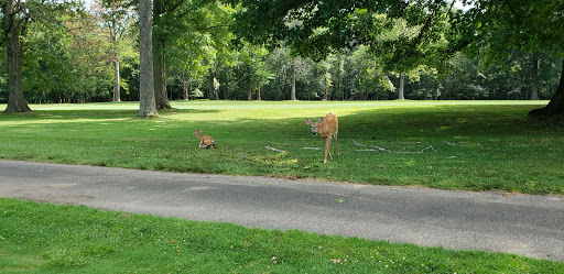 Public Golf Course «Algonkian Golf Course», reviews and photos, 47001 Fairway Dr, Sterling, VA 20165, USA