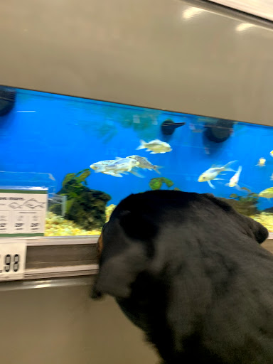 Pet Supply Store «Pet Supplies Plus», reviews and photos, 375 Paterson Ave #105, Wallington, NJ 07057, USA