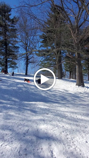 Park «Shedd Park», reviews and photos, 453 Rogers St, Lowell, MA 01852, USA