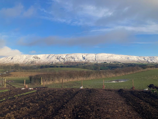 Comments and reviews of Kinkell Farm