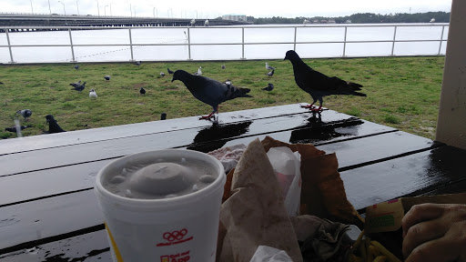 Park «Porter Park», reviews and photos, Michigan Ave, Lynn Haven, FL 32444, USA