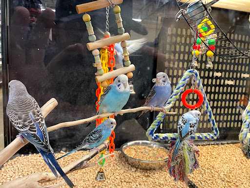 Pet Supply Store «PetSmart», reviews and photos, 8281 Troy Pike, Huber Heights, OH 45424, USA